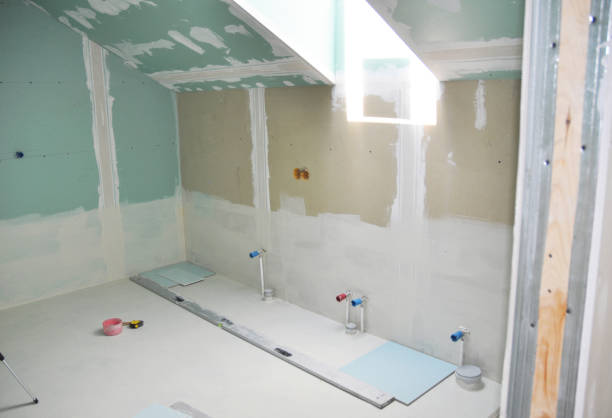 Best Emergency Mold Remediation  in North Fork, AZ