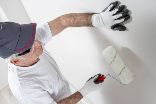 Best Black Mold Removal  in North Fork, AZ