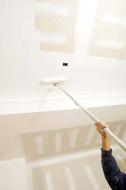 Best Mold Remediation for Vacation Homes  in North Fork, AZ